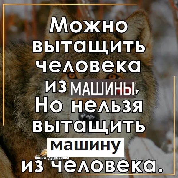 Нельзя вытащить грязь из человека. Вытащить человека из грязи. Можно вытащить человека из грязи но нельзя. Высказывание можно вытащить человека из грязи. Почему нельзя достать