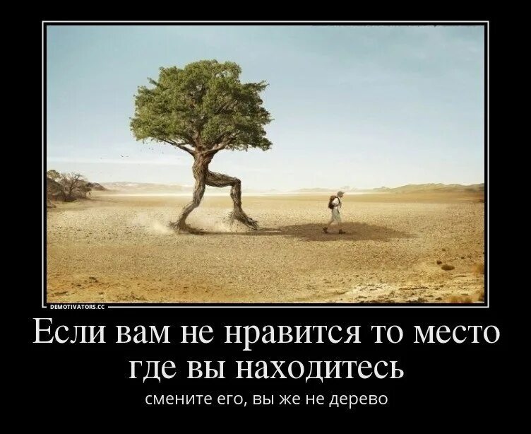 Ты не дерево. Говорящие деревья. Вы же не дерево. Если вам не Нравится то место где вы находитесь смените его. Деревья не терпят