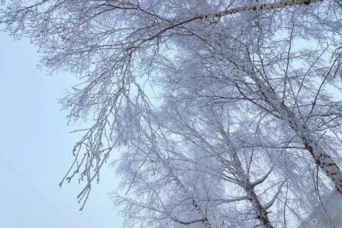 Похолодание в якутске