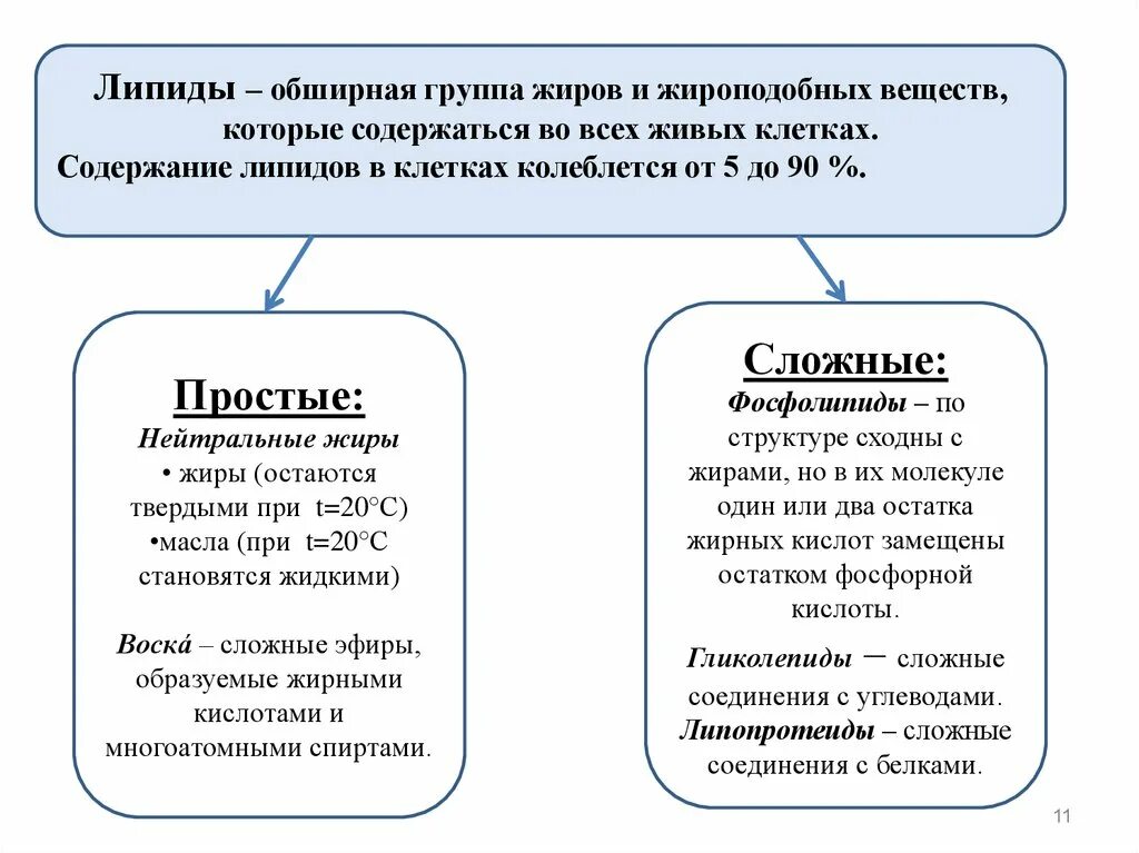 1 группа жиры