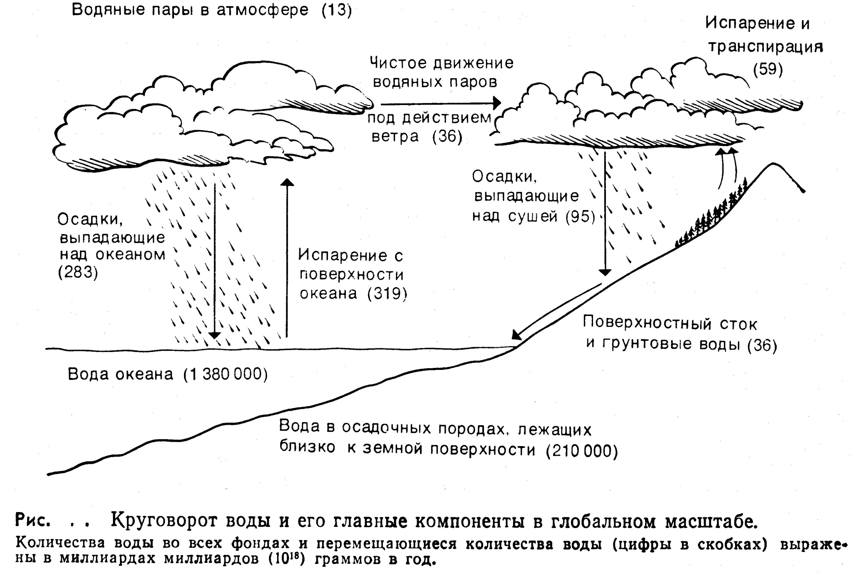 Сток и осадки. Схема глобального круговорота воды. Схема мирового круговорота воды рисунок. Гидрологический цикл схема. Нарисуйте схему мирового круговорота воды.