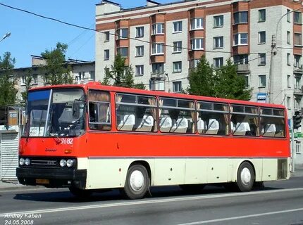 Автобус 256 спб