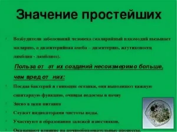 Возбудители болезней простейших. Простейшие возбудители заболеваний. Значение простейших паразитов. Паразиты и болезни вызванные простейшими.