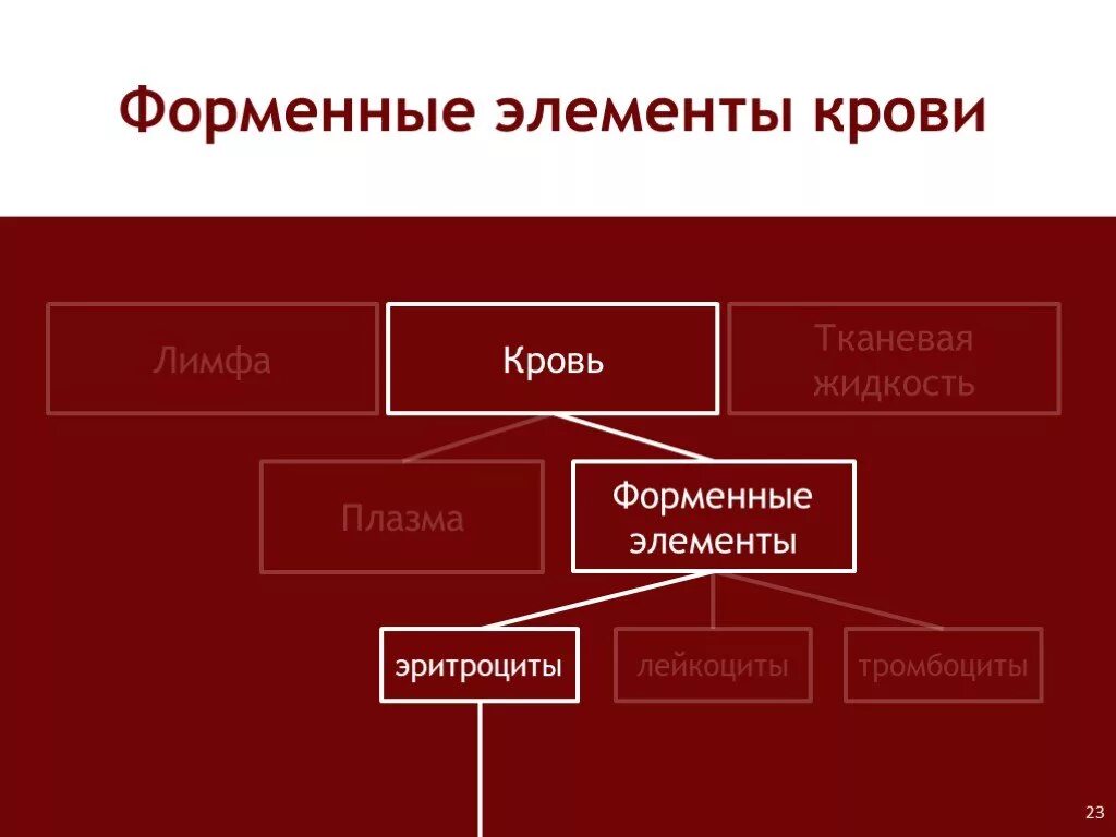Содержит плазму и форменные элементы. Форменные элементы крови. внутренняя среда организма форменные элементы. тканевая жидкость и плазма крови. внутренняя среда организма кровь тканевая жидкость лимфа.