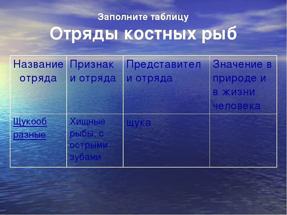 Распределите по группам характерные особенности. Отряды костных рыб таблица 7 класс. Отряды хрящевых рыб таблица. Многообразие костных рыб таблица. Таблица отряды костных рыб 7 класс биология.