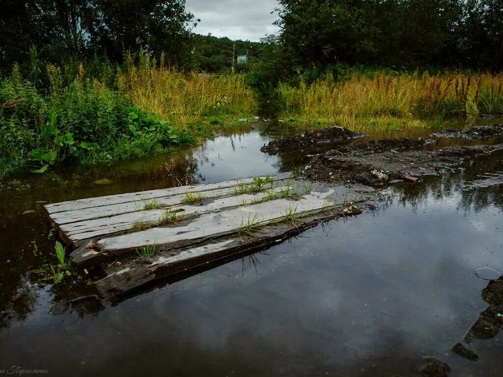 Петербург на болоте. Батайск мостик через болото. Старый Оскол мостик на болоте. Тиинск болота мост. Мост через реку болото Судиславль.