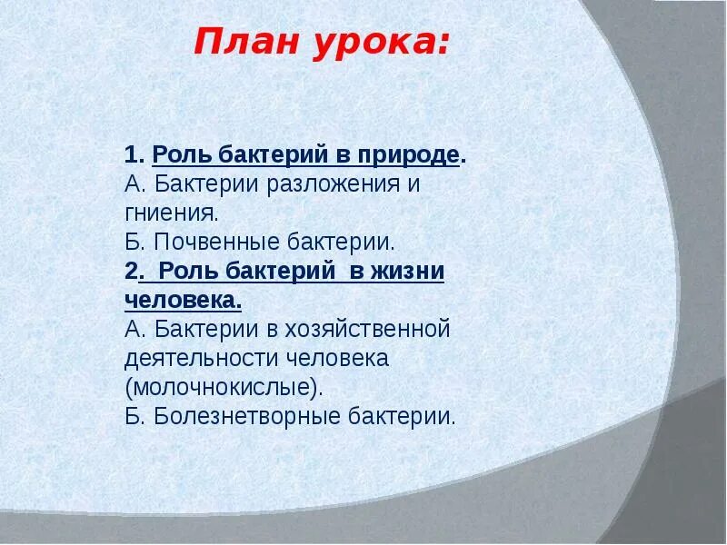 Роль бактерий в природе. Таблица роль бактерий. Роль бактерий в хозяйственной жизни человека. Роль бактерий в природе и жизни человека план. Роль бактерий в природе 7 класс кратко