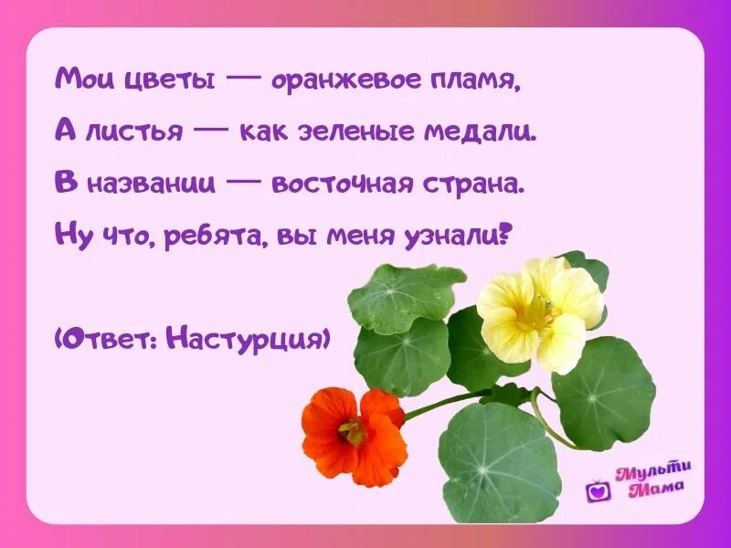 Загадки про цветы для дошкольников. Загадки про цветы. Загадки про цветы для детей. Загадка про цветочек. Загадки про растения для детей.