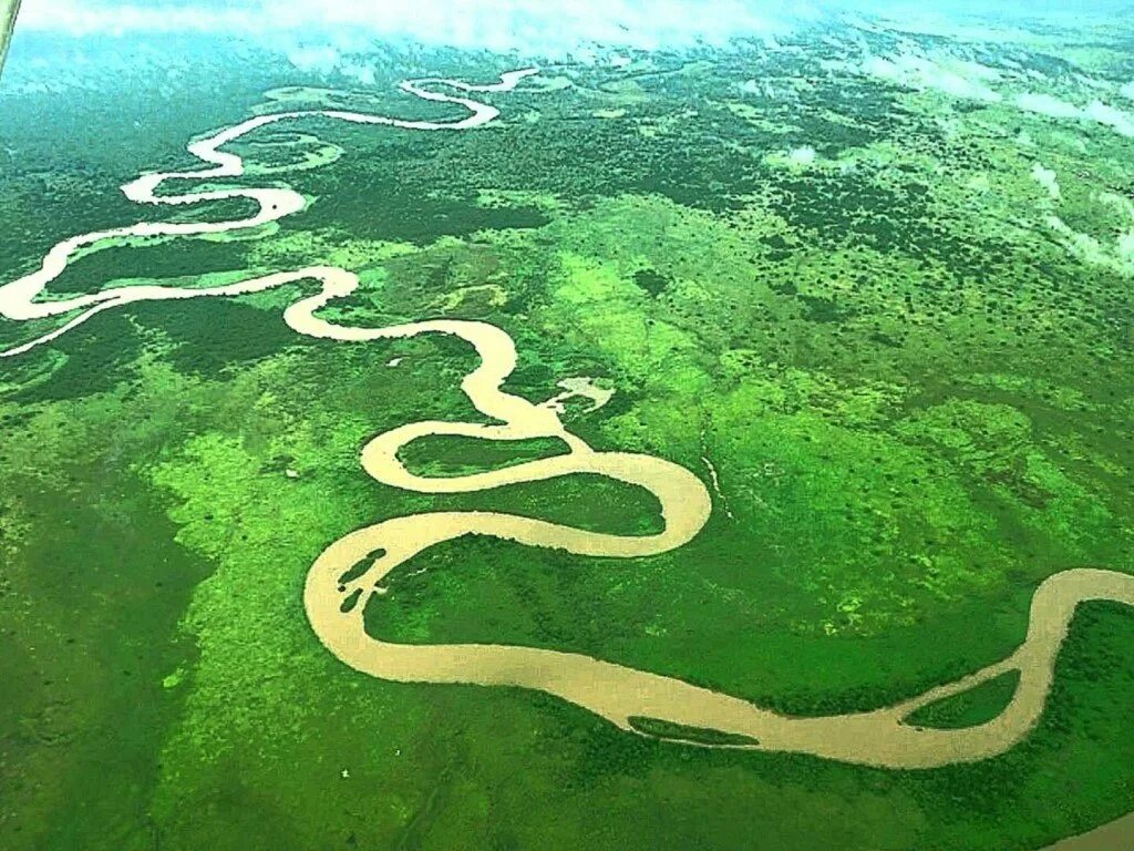 Самая большая река в мире и россии. Река Конго в Африке. Дельта реки Конго.