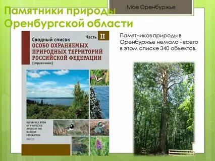 Памятник природы и истории
