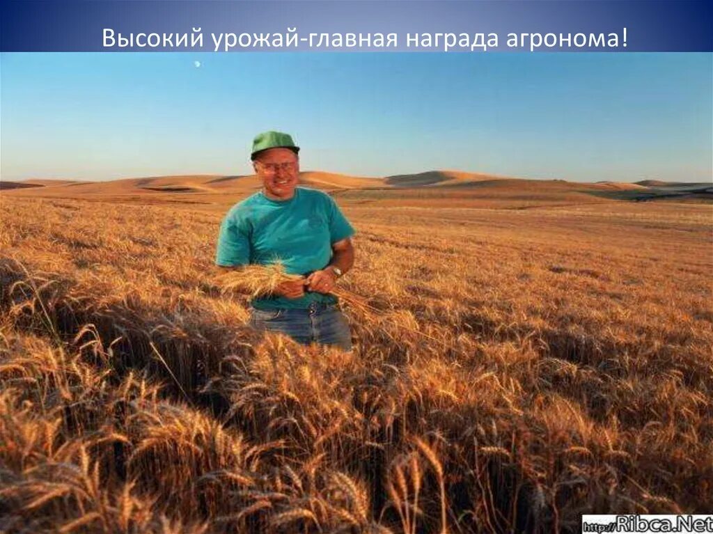 Квалификация агронома