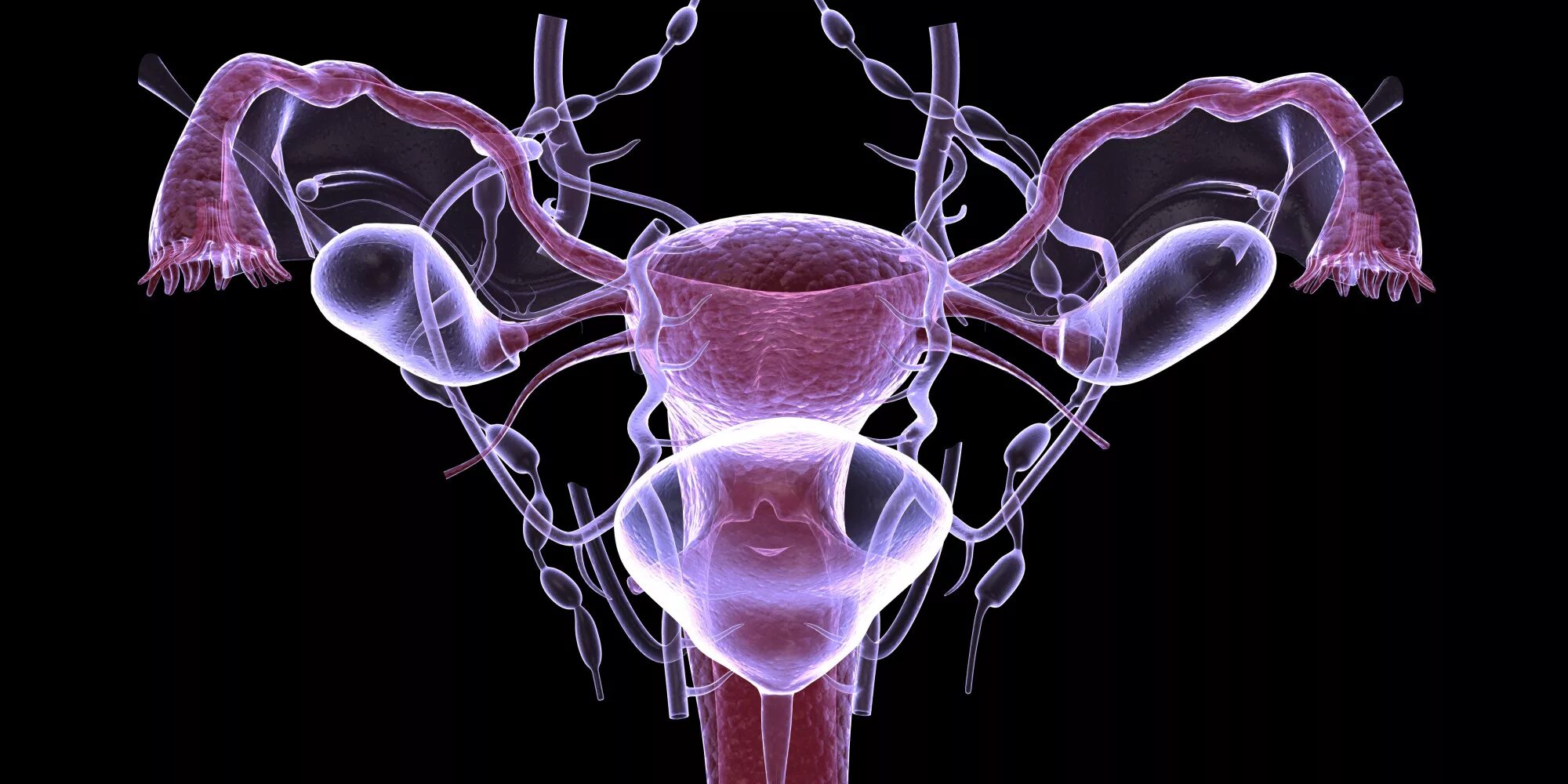 Мужские половые яичники. Репродуктивная система. Женская репродуктивная система. Заболевания репродуктивной системы. Заболевания женской репродуктивной системы.