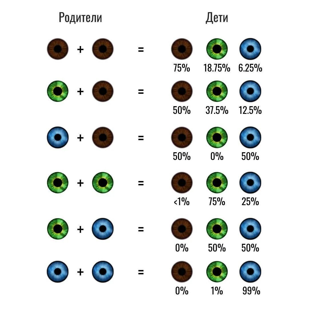 Смешать цвет глаз. Как понять какой цвет глаз будет у ребенка. Таблица цвет глаз ребенка по цвету глаз родителей. Вероятность цвета глаз у ребенка таблица. Какого цвета будут глаза у ребенка если у родителей карие и зеленые.