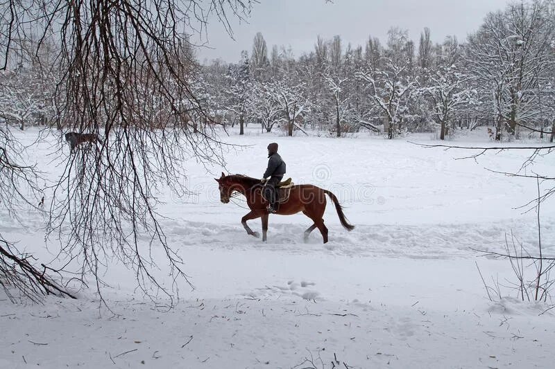 Мы вновь ехали на лошадях и любовались. Мужчина едет на лошади. Ой Мороз Мороз картинки. Рок острова Мороз. Катание на лошади зимой в парке Талалихина.