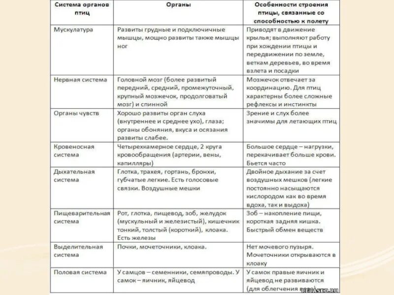 Внутреннее строение птиц 7 класс таблица