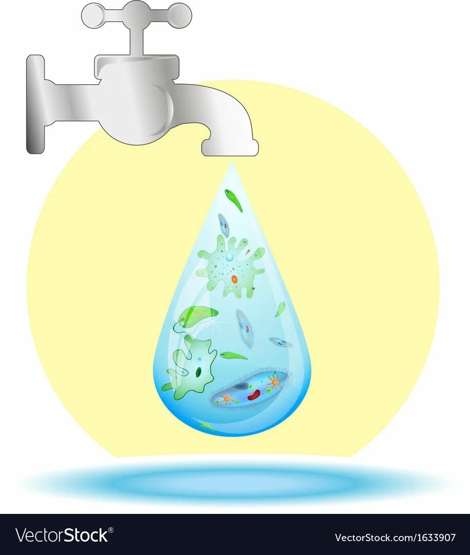 Бактерии в питьевой воде. Загрязнение пресных вод. Микробы в воде для детей. Капля воды для детей. Капля чистой воды.