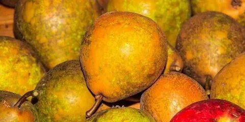 Какие фрукты дозревают
