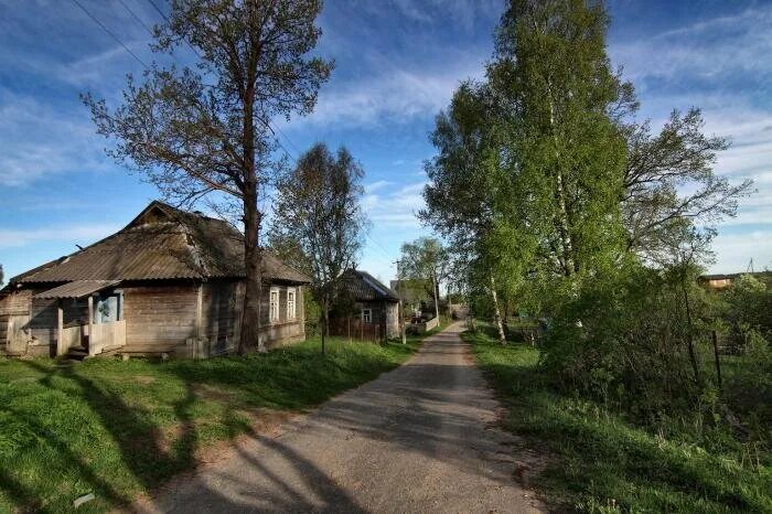 2 часть в деревне 4. Деревня Зыковщина Новгородская область. Деревня Клевичи Новгородская область. Демянский район Селигер деревня Зыковщина. Зыковщина Демянского района Новгородской области.