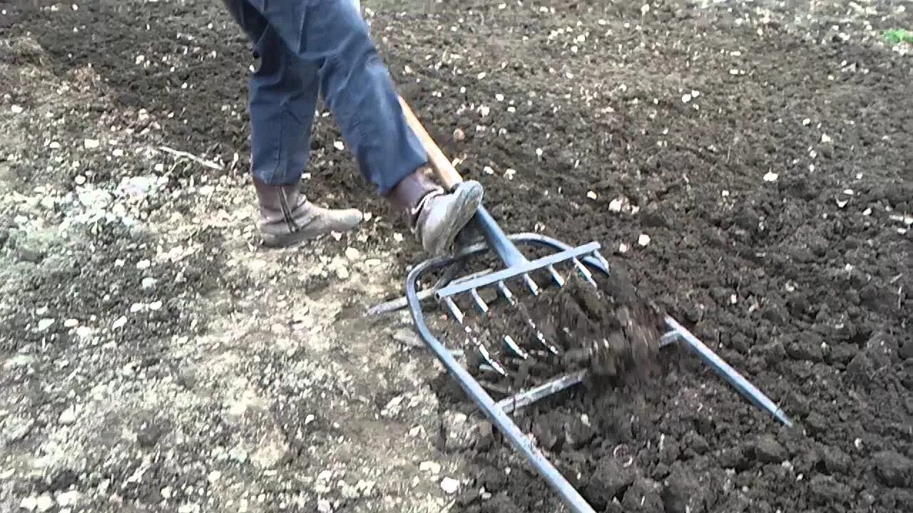 Как быстро прополоть картошку