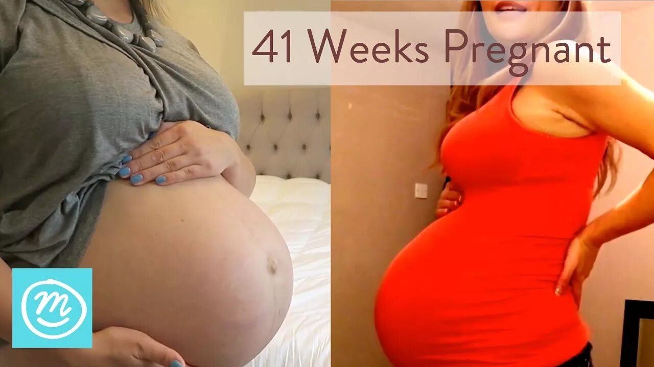 40 Weeks pregnant belly. Pregnant belly 41. Pregnant week. 41 неделя тянет