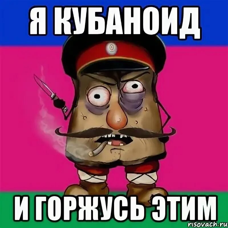 Кубаноид. Кубаноид. Кубаноиды в краснодаре. Типичный кубаноид. Типичный кубаноид.