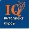 Интеллектуальные курсы