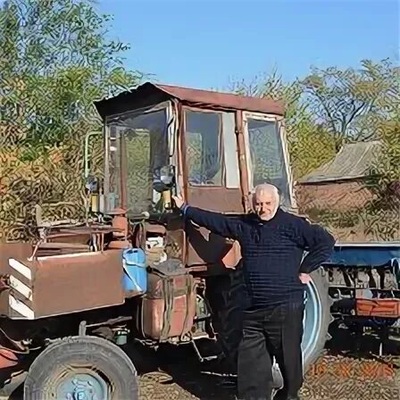 Малая токмачка сегодня