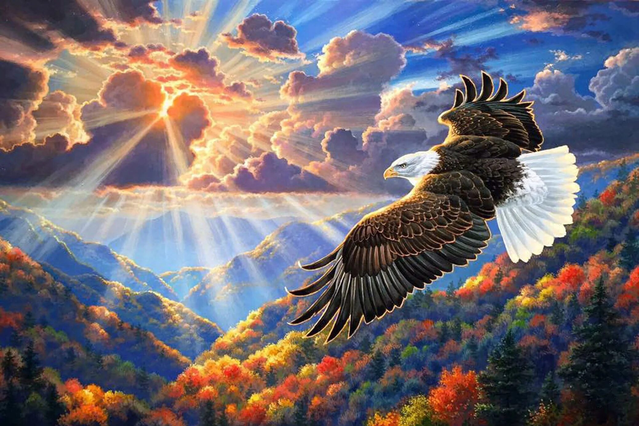 Орел в облаках 6 букв. Парящий Орел. Красивый Орел в небе. Пейзажи с орлами. Орел в небе солнце.
