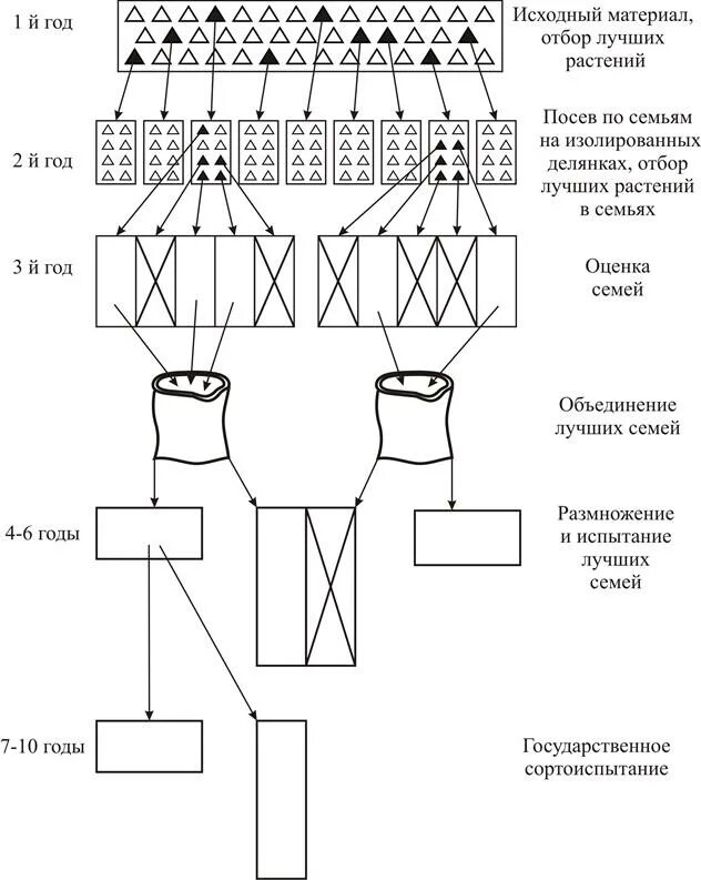 Подбор исходного материала
