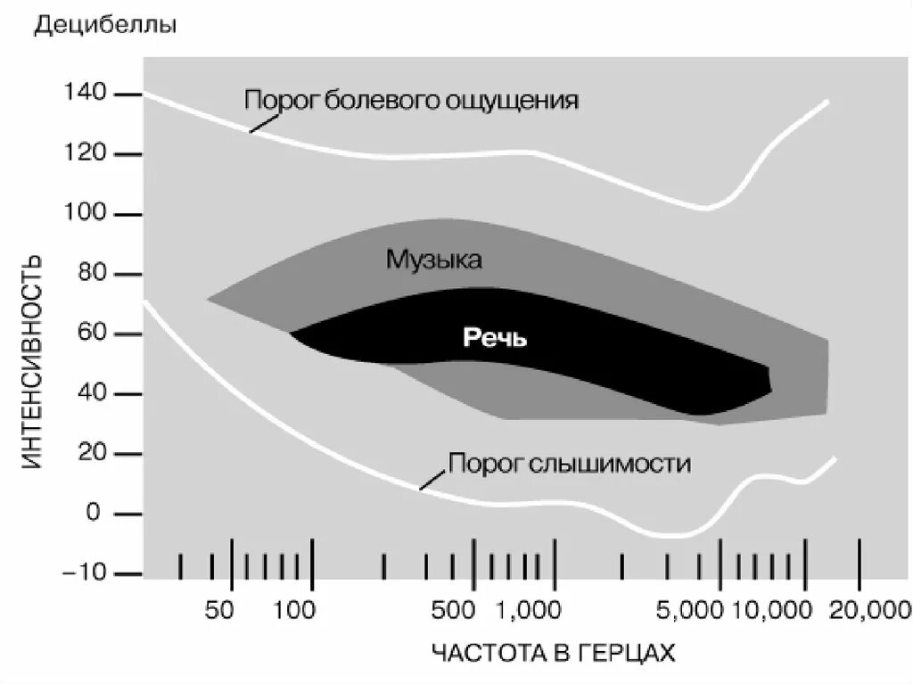 Порог слышимости человеческого уха Герц. Предел слышимости человеческого уха частота. Частотный диапазон звуков воспринимаемых ухом человека. Частота восприятия человеческого уха. В каком звуковом диапазоне слышит человек