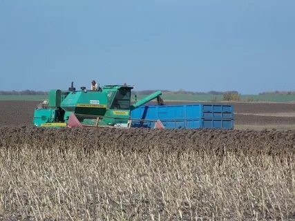 Погода саратовская самойловский песчанка