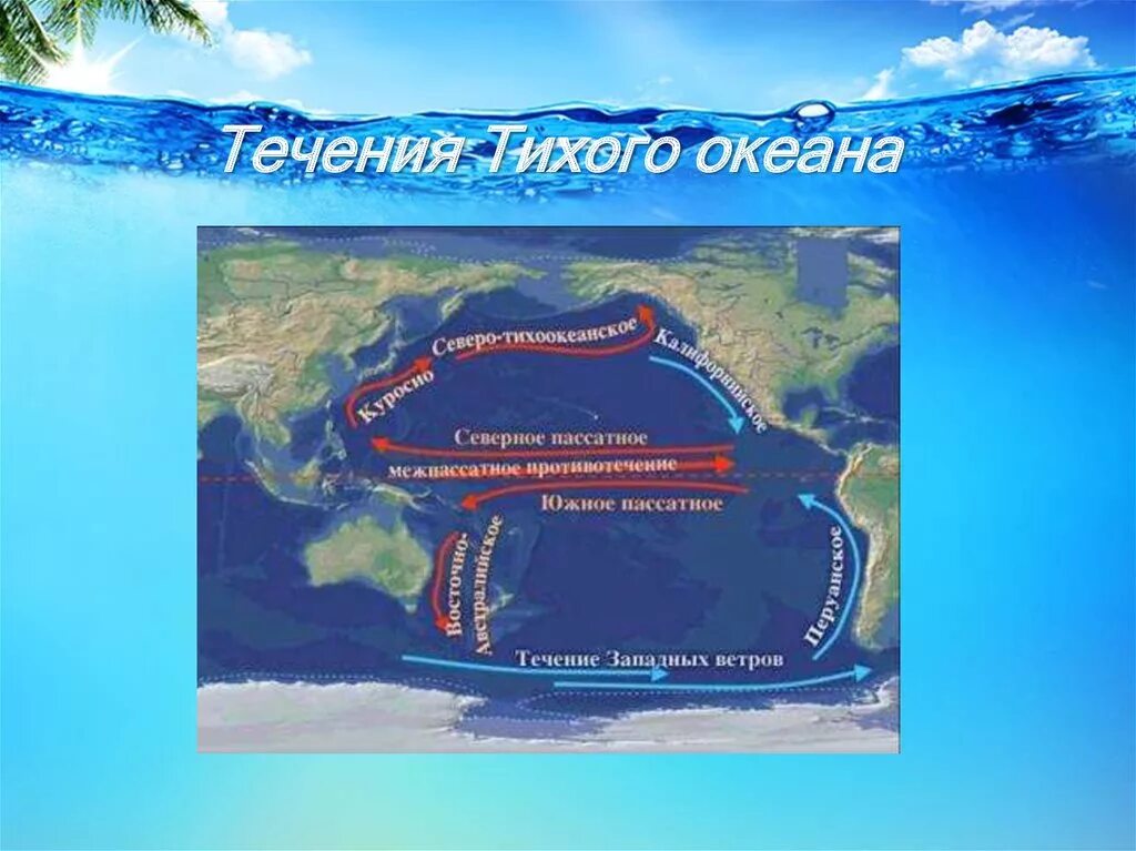 Основные течения воды. Морские течения Тихого океана. Течения Тихого океана 7 класс. Тёплые течения Тихого океана Куросио. Течения Северной части Тихого океана.