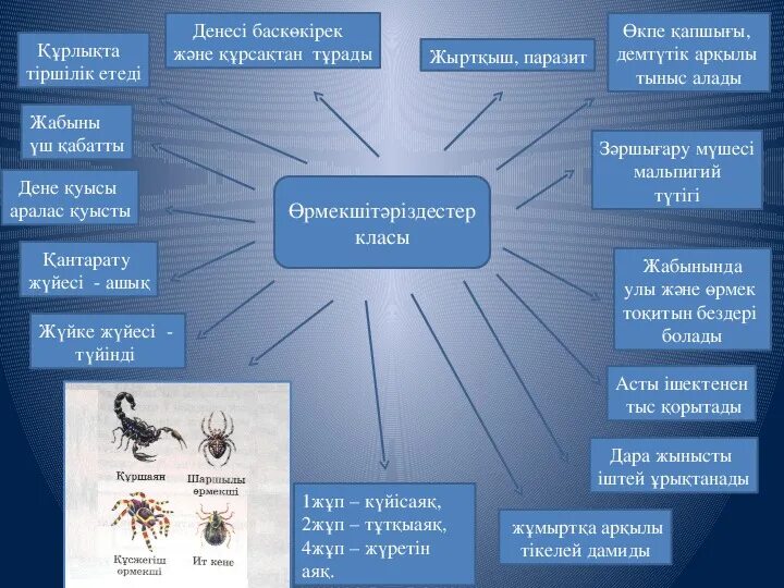 Буынаяктылар. Бунақденелілер класы. Бунақденелілер қалай дамиды жаратылыстану 4 сынып. Буынаяктылар. Бунақденелілер қалай дамиды жаратылыстану 4 сынып.