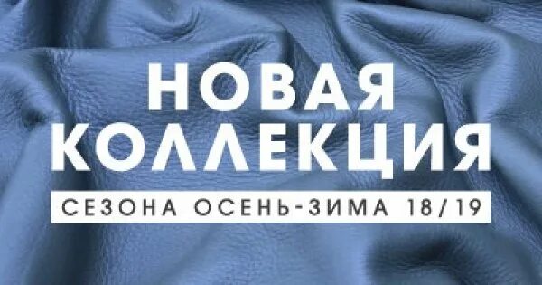 Now collection. Новая коллекция баннер. Новая коллекция осень зима надпись. Новая осенняя коллекция. Новая коллекция осень зима.