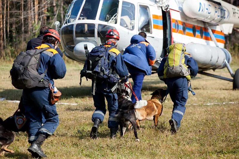 Служба спасения собак. Поисково-спасательная служба мчс россии. Кинолог мчс. Собаки спасатели мчс. Немецкая овчарка на службе в мчс.