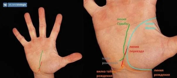 Знаки на руке указывающие. Линия переезда на руке. Линия эмиигнрайии на руку. Линии переезда на ладони.