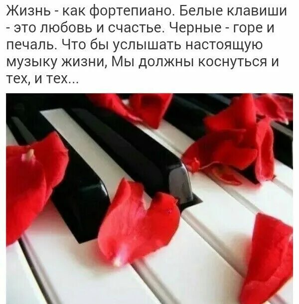 Песня жить ноты. Пианист на природе. Известные ноты для фортепиано. Песня жить пианино. Ноты для фортепиано.