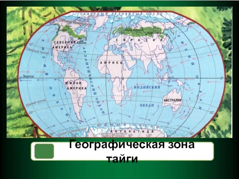 Тайга на карте. Отметь на карте зоны тайги. Отметь на карте зоны тайги. Тайга в сибири на карте. Отметь на карте зоны тайги.