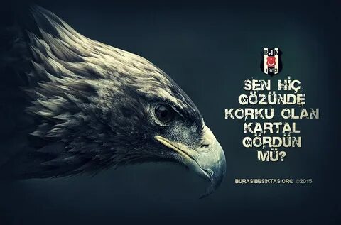Sen hic
