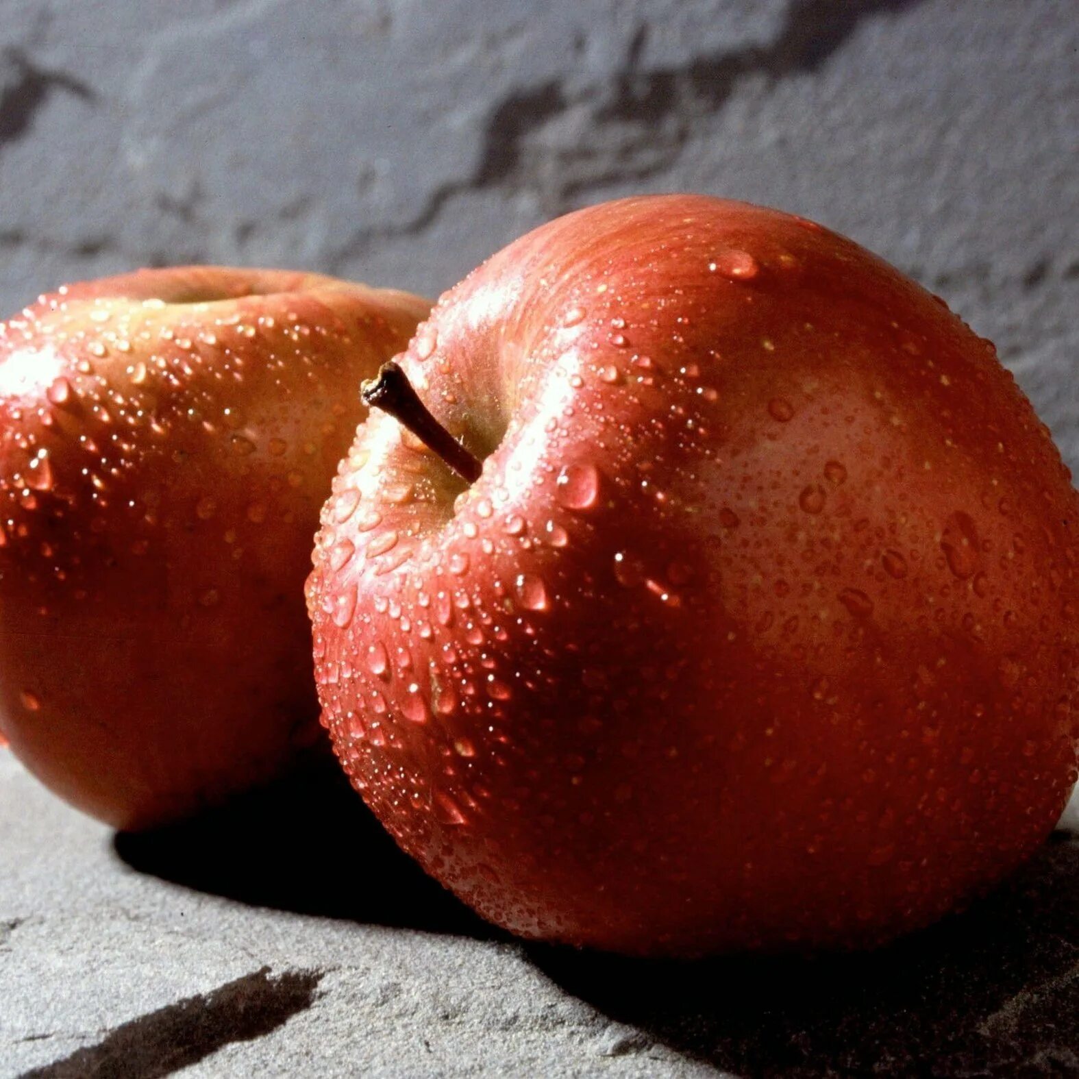 Яблоко. Два яблока. Яблоко картинка. Яблоко с тенью.