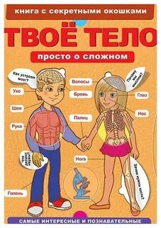 Кн тел
