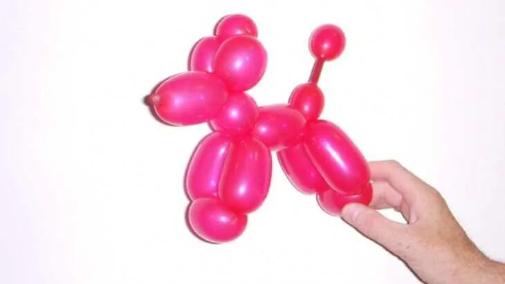 Как сделать собаку из шаров. Собачка твистинг твистинг. Собачка из шаров для моделирования. Собачка из шарика колбаски. Пудель из воздушного шарика.