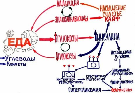 Д обмен