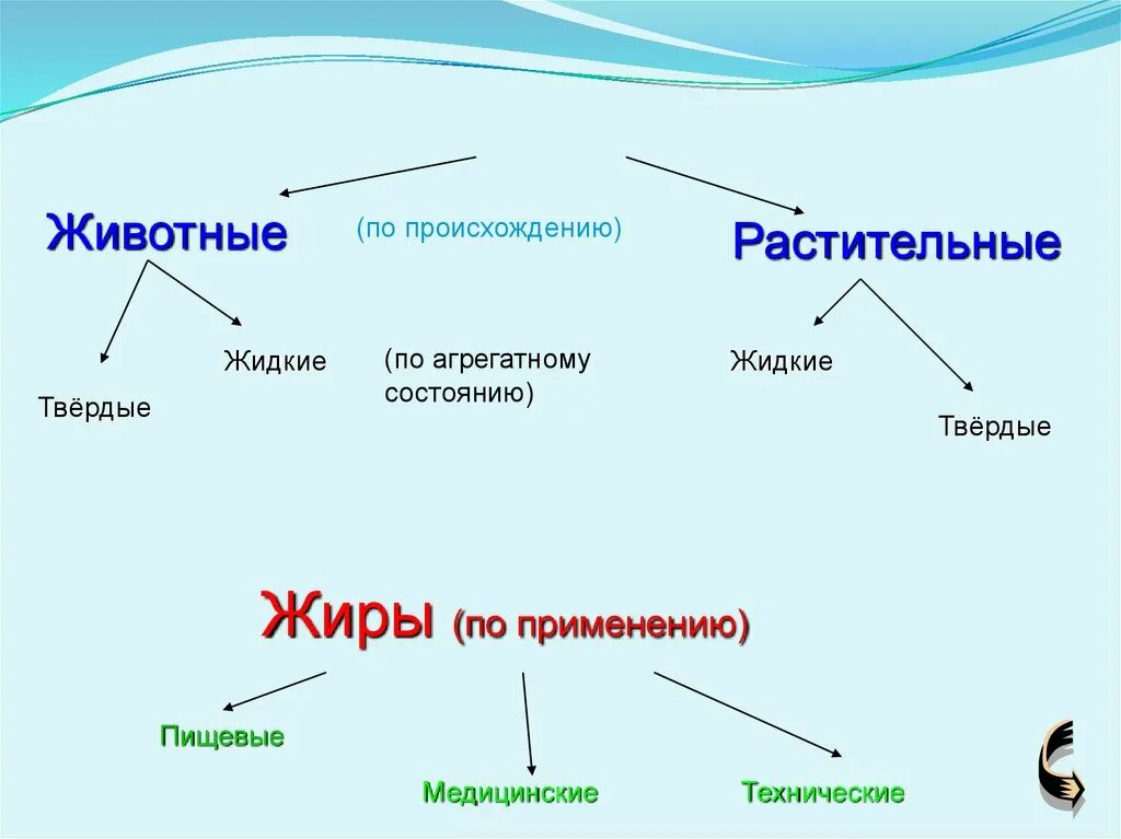 Чем отличаются твердые жиры от жидких изобразите. Твердые и жидкие жиры. Жидкий жир растительного происхождения. Твердый жир растительного происхождения. Жидкие животные жиры.