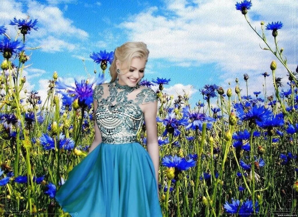 елена ермина васильковое поле. василек для детей. платье с васильками. васильки в поле песня слушать. девушка с васильковыми глазами.