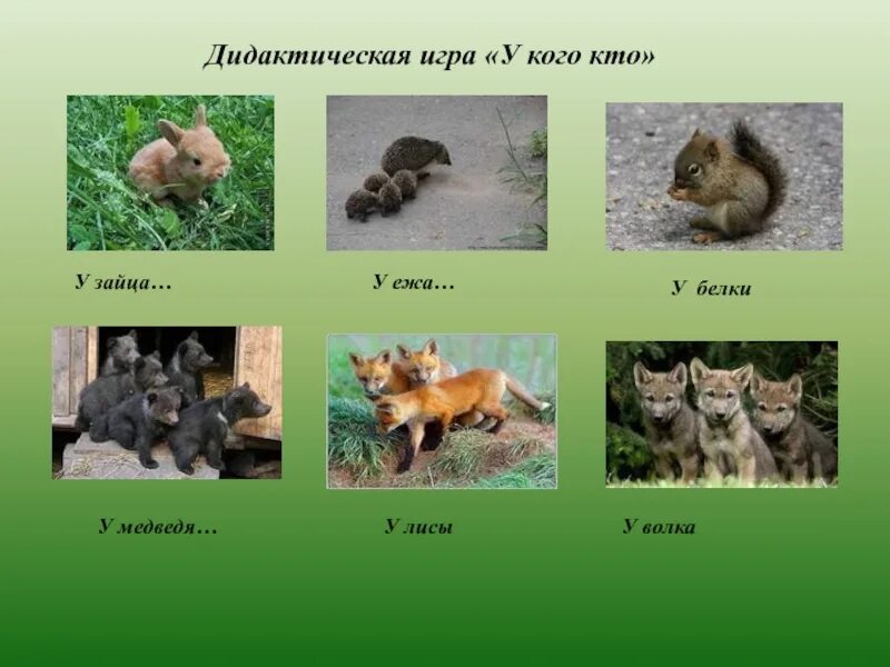 Медведь лиса еж. У кого кто дидактическая игра. кто такой кто. волк лиса заяц еж. игра у кого какая шубка.
