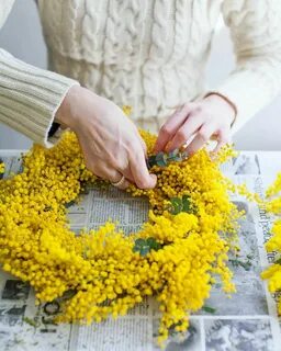 Как сохранить букет мимозы