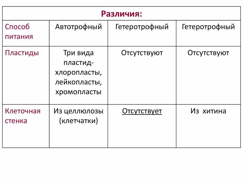 Гетеротрофное питание клеток. Гетеротрофная клетка. Строение автотрофной клетки. Таблица строение клетки автотрофных и гетеротрофных. Пластиды функции таблица.