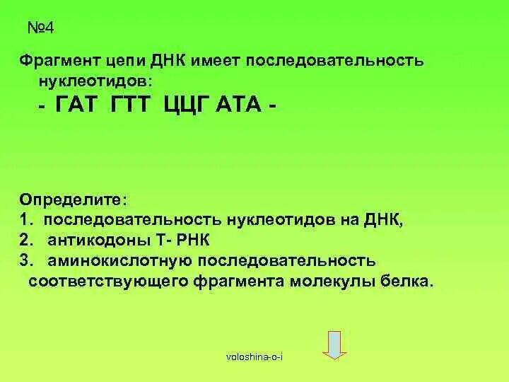 Фрагмент цепи днк имеет последовательность атааггатгццтттт. Фрагмент цепи ДНК имеет последовательность. Алгоритм решения задач по молекулярной биологии. Фрагмент цепи ДНК имеет последовательность нуклеотидов ГТГТАТГГААГТ. Собственную ДНК имеет.