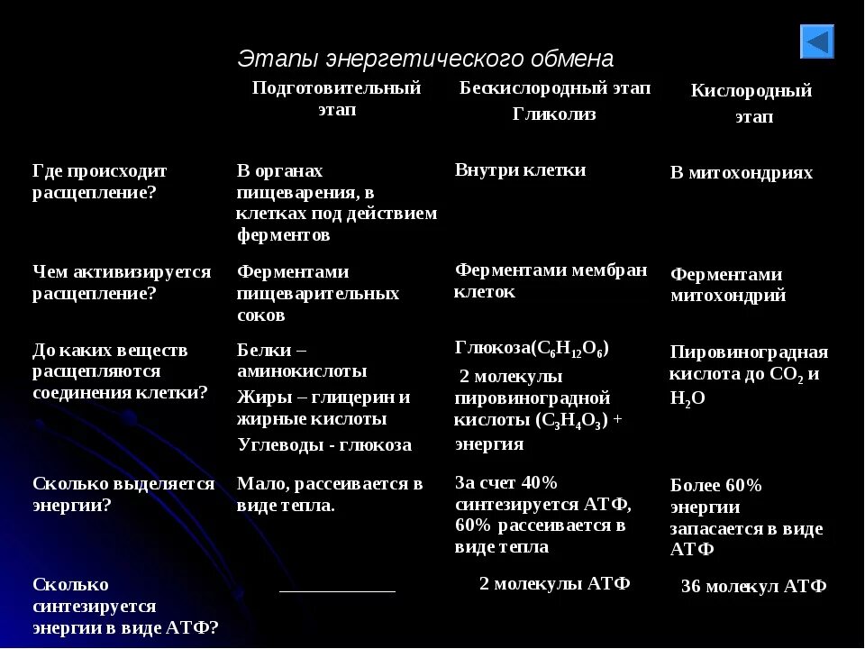 Где происходят этапы энергетического обмена. Стадии энергетического обмена таблица. Кислородный этап энергетического обмена таблица. Сравнение этапов энергетического обмена. 1 Этап подготовительный энергетического обмена.